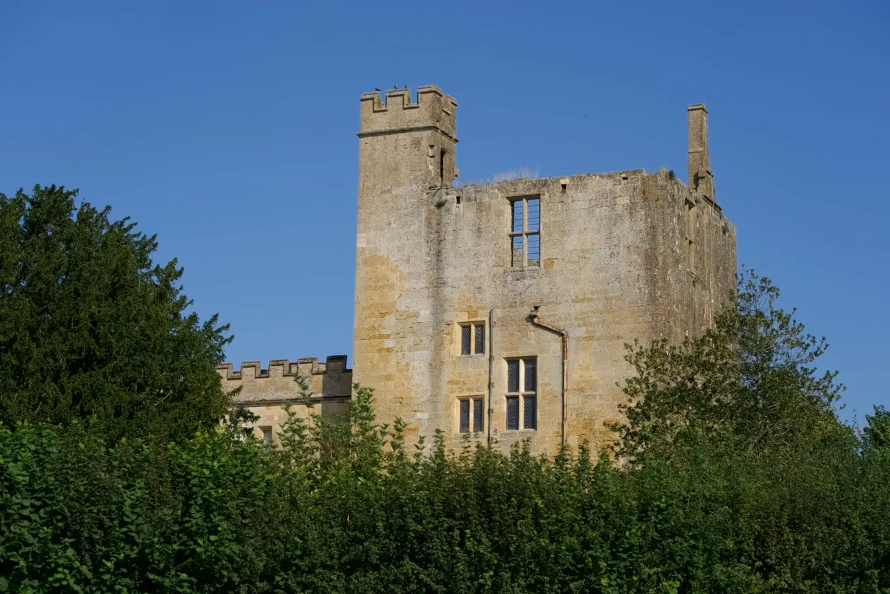 Dilapidated stone tower emerging from the trees.