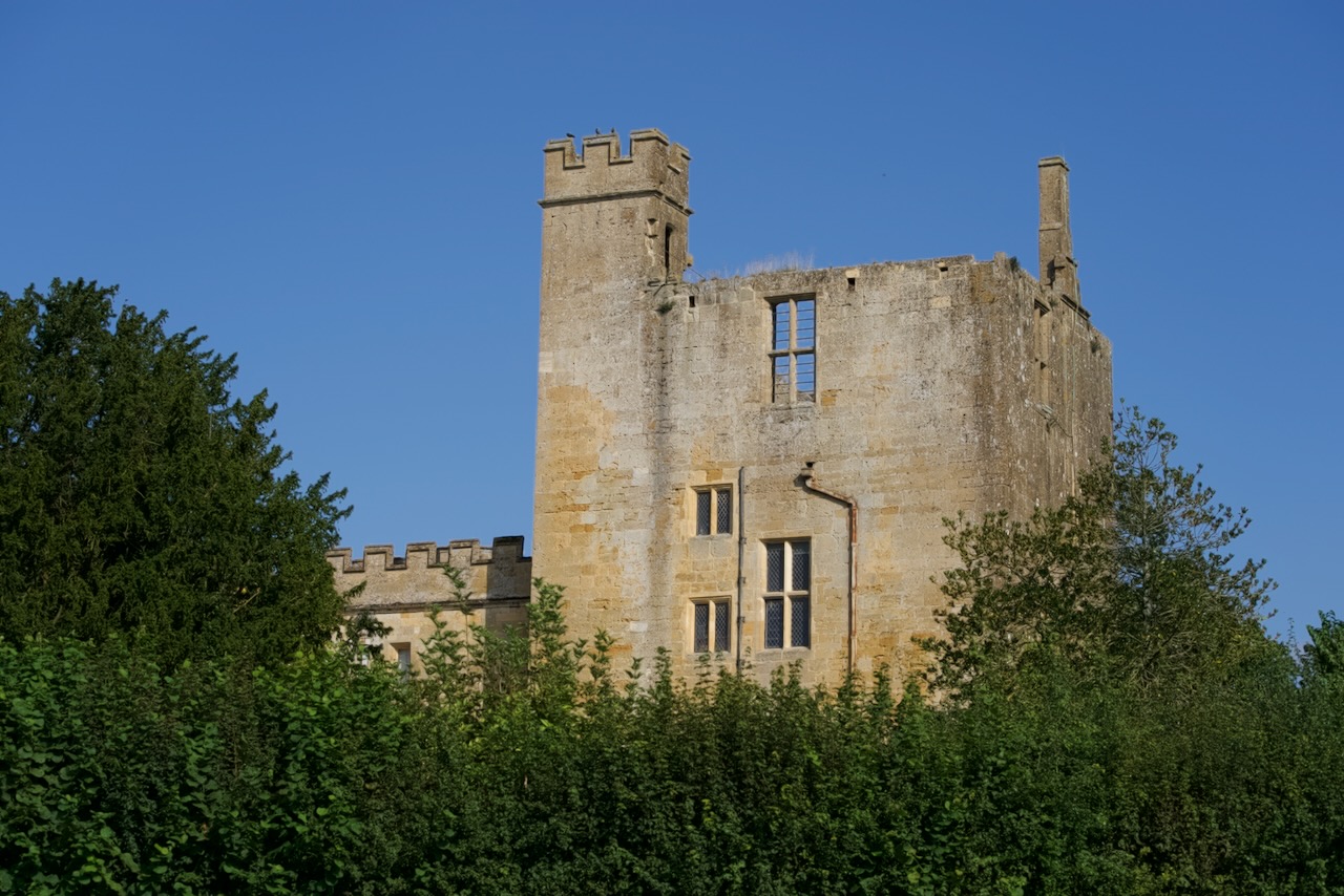 Dilapidated stone tower emerging from the trees.